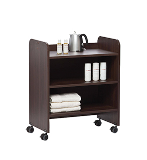 ionto wellness kabinet.jpg